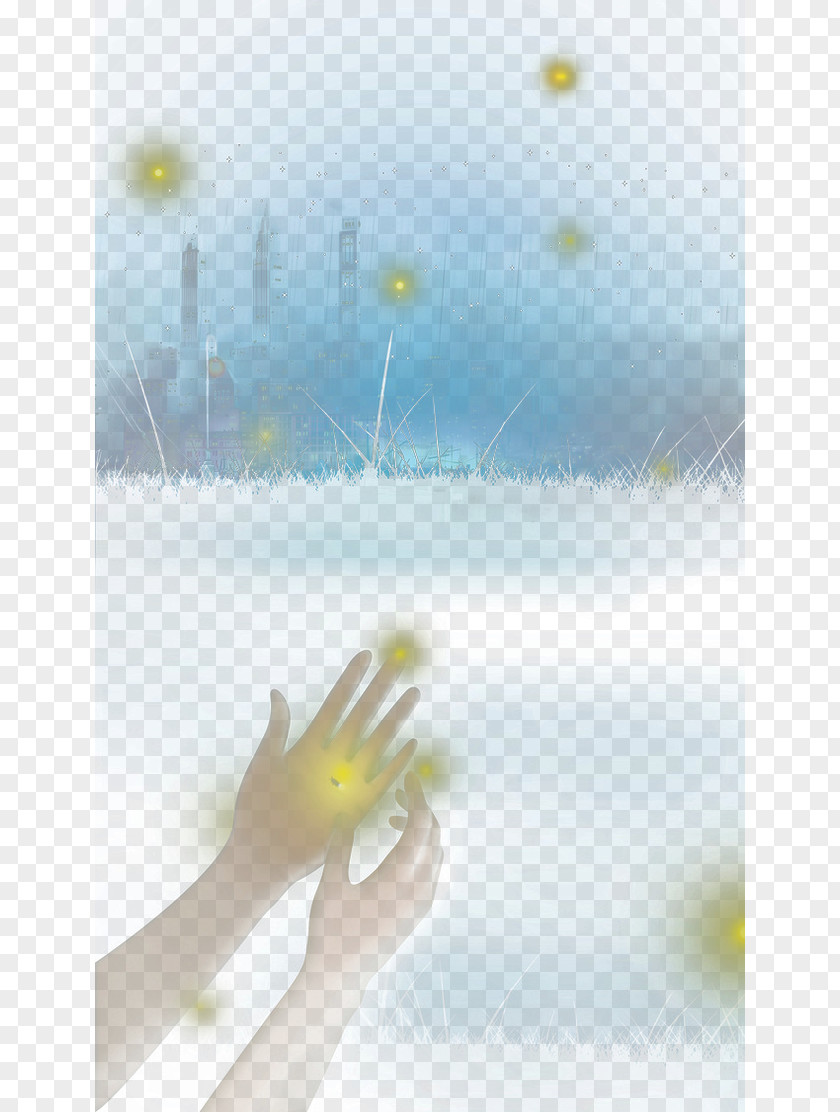 Firefly Text Sky Daytime Illustration PNG
