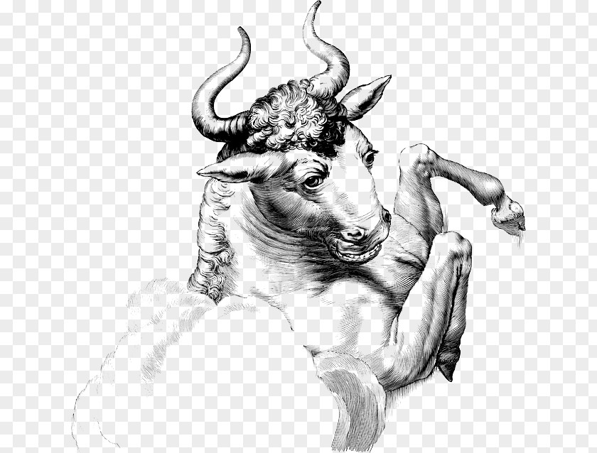 Taurus Astrological Sign Constellation Bull Zodiac PNG