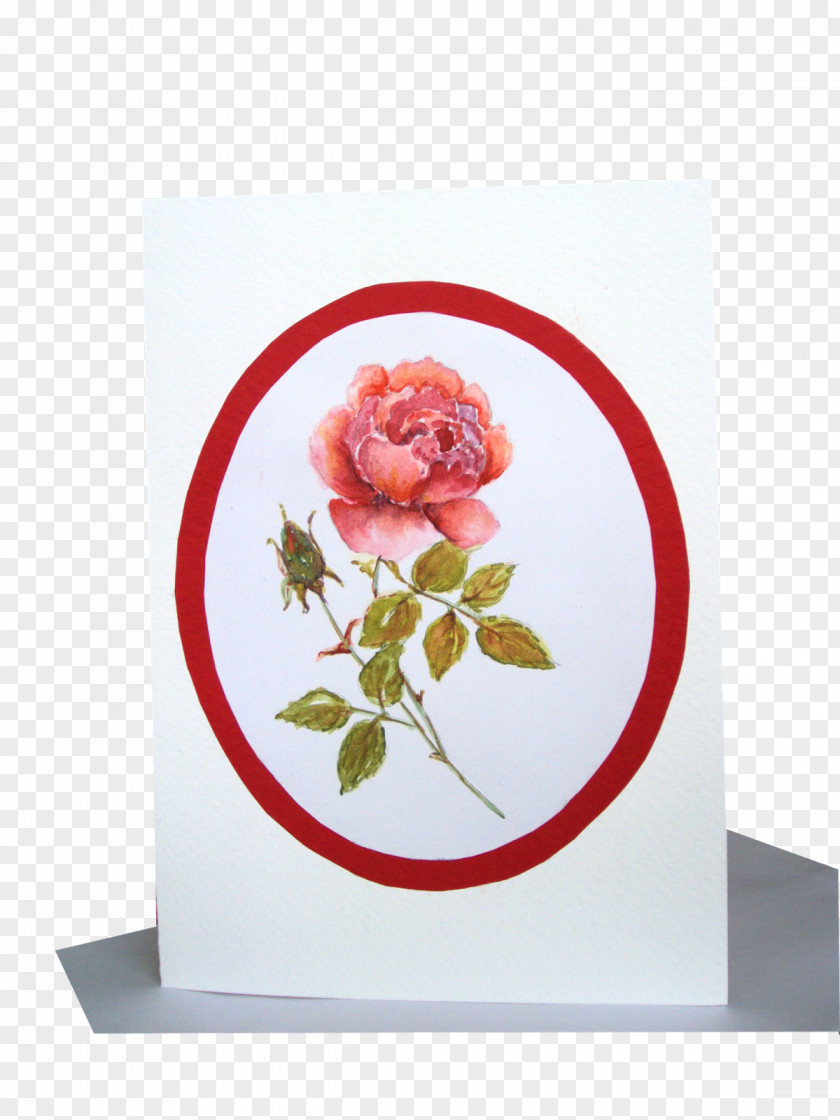 Design Floral Cut Flowers Picture Frames Petal PNG