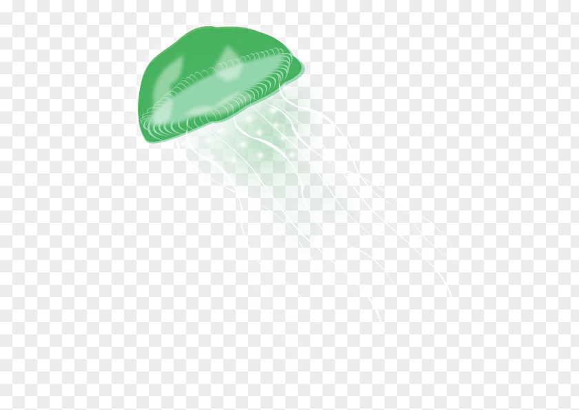 Jellyfish Sea PNG