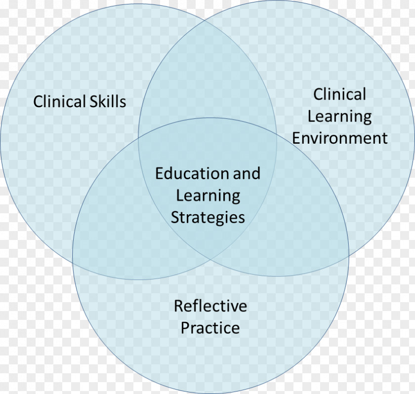 Learning Themes Diagram Organization Brand Product PNG