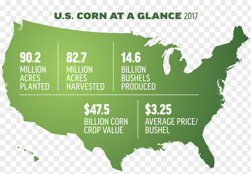 Apple Producing Area United States Vector Map PNG