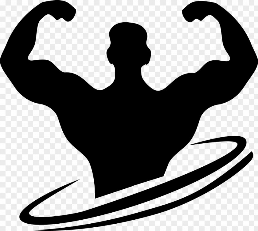 Bodybuilding Fitness Centre Physical Exercise PNG