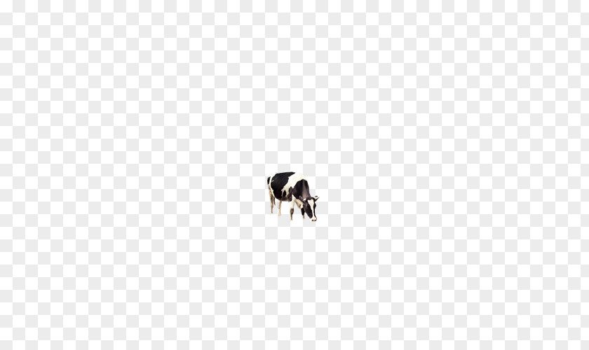 Dairy Cow Cattle PNG