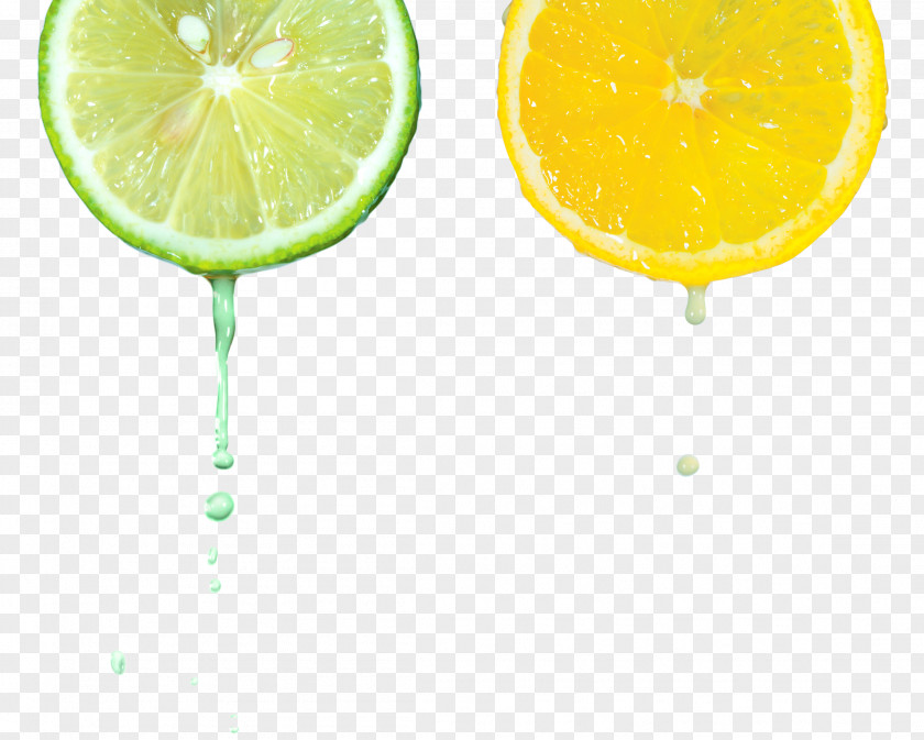 Lemon Lemon-lime Drink Key Lime PNG