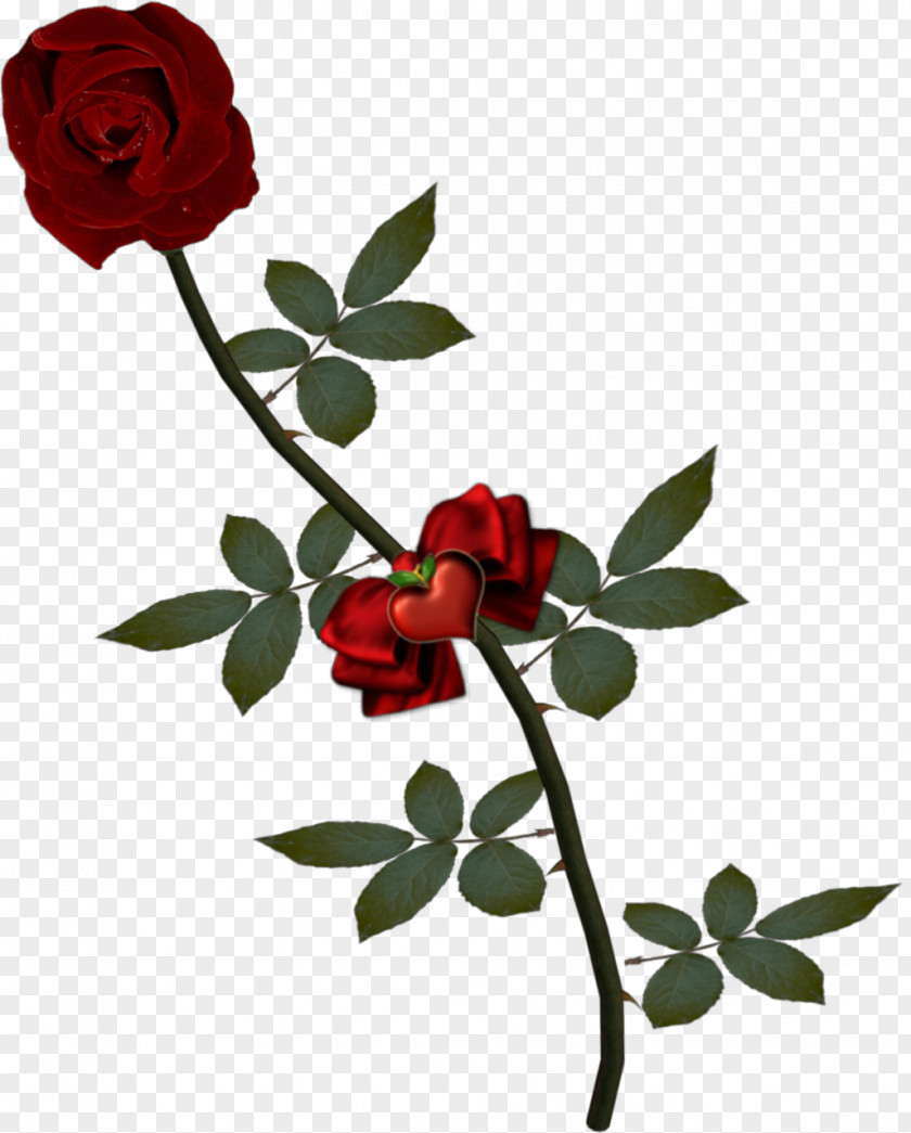 Rose Stock Photography Fotosearch Clip Art PNG
