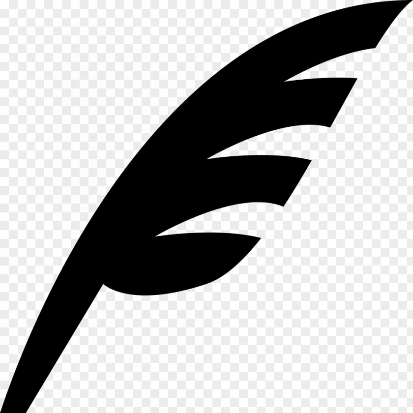 Feathers Vector Quill Pen Paper Clip Art PNG