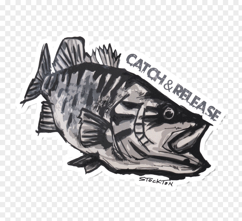 Fishing Decal Bass Sticker Smallmouth PNG