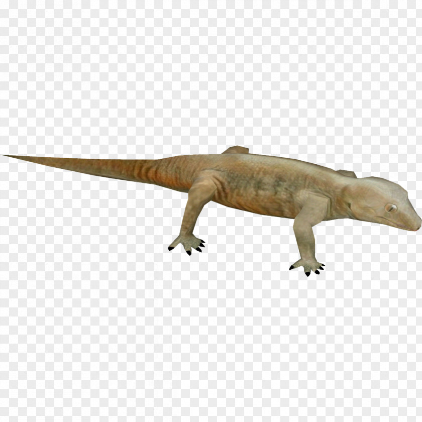 Lizard Tyrannosaurus Hoplodactylus Delcourti Reptile Monoclonius PNG