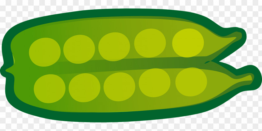 Pea Vegetable Food Fruit Clip Art PNG