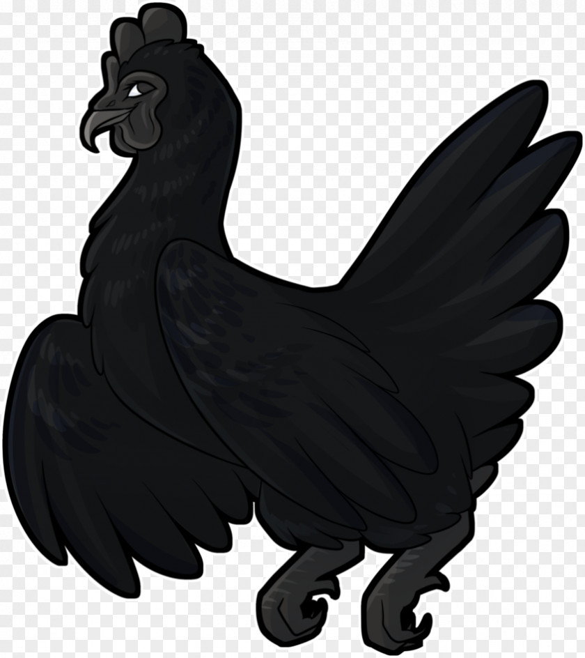 Ayam Geprek Rooster Cemani Image Vector Graphics Illustration PNG
