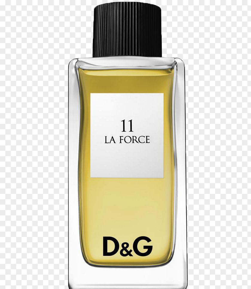 Fragrance Perfume Chanel Dolce & Gabbana Eau De Toilette Cologne PNG