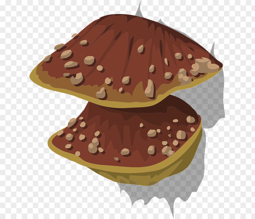 Fungi Wood-decay Fungus Mushroom PNG
