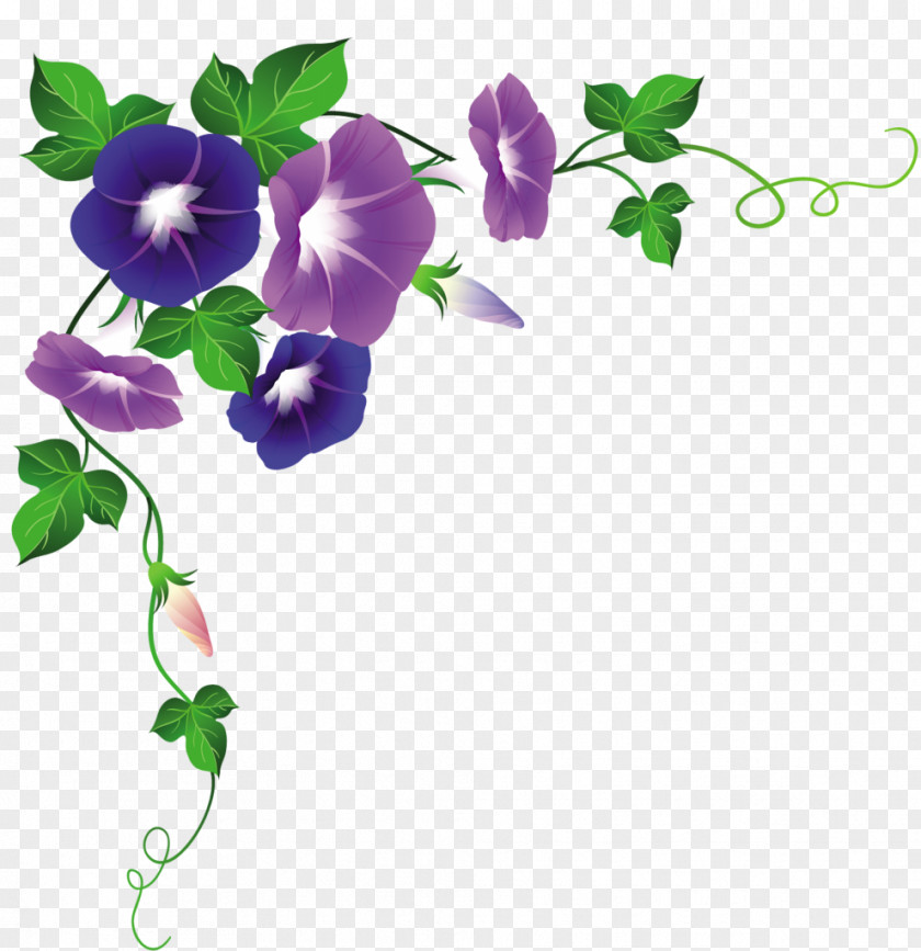 Glory Paper Photography Clip Art PNG
