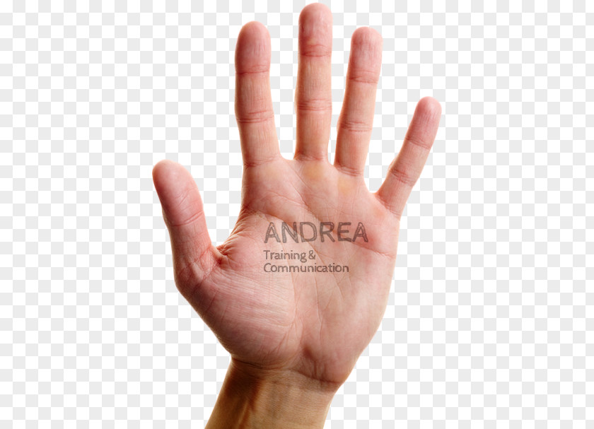 Hand Vibram FiveFingers Thumb Index Finger PNG