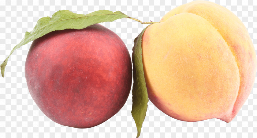 Peach Image Izumisano Peaches And Cream Lunch Rosaceae PNG