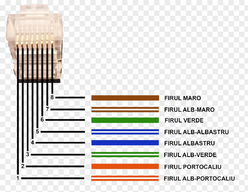 Teléfono Twisted Pair 8P8C Internet Computer Network Category 5 Cable PNG