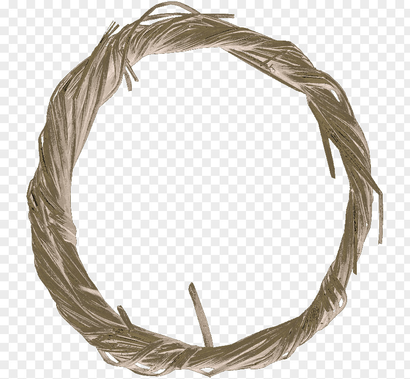 Yute Wire PNG