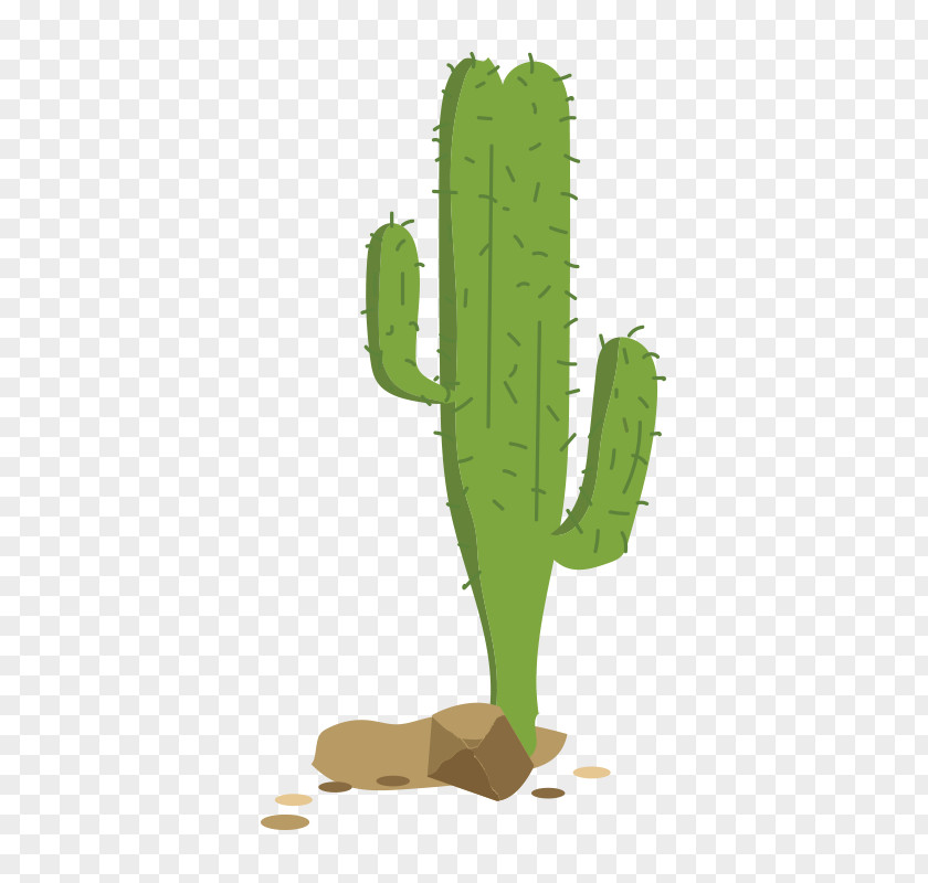 Cactus Cactaceae Euclidean Vector Clip Art PNG