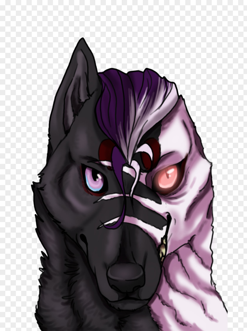 Cat Whiskers Horse Snout Dog PNG