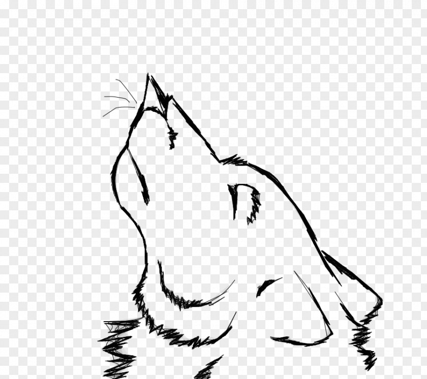 Cat Whiskers Line Art Clip PNG