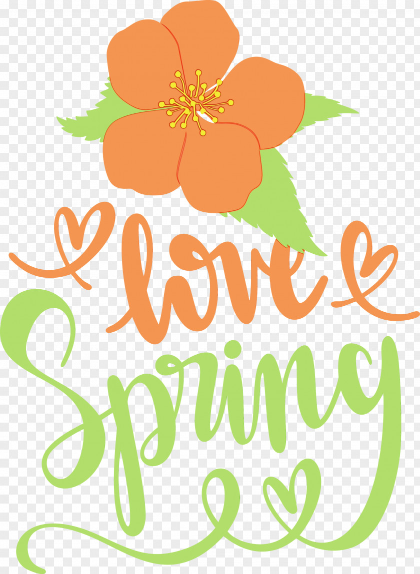 Floral Design PNG