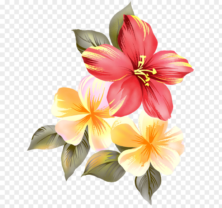 Flower Clip Art PNG