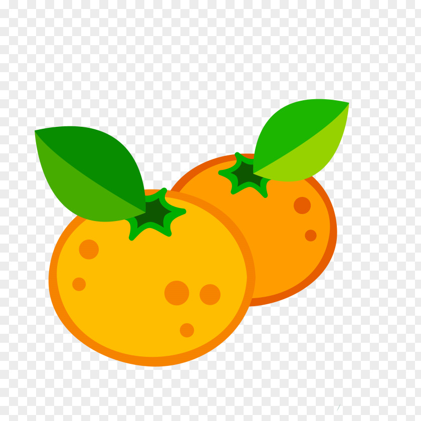 Orange Mandarin Juice Fruit Clip Art PNG