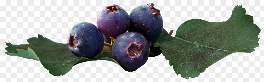 Beautiful Blueberries Juice Fruit Blueberry Leaf PNG