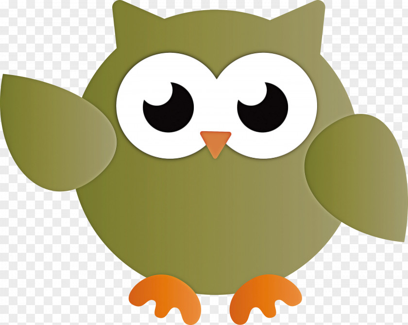Birds Owls Beak Bird Of Prey Finches PNG