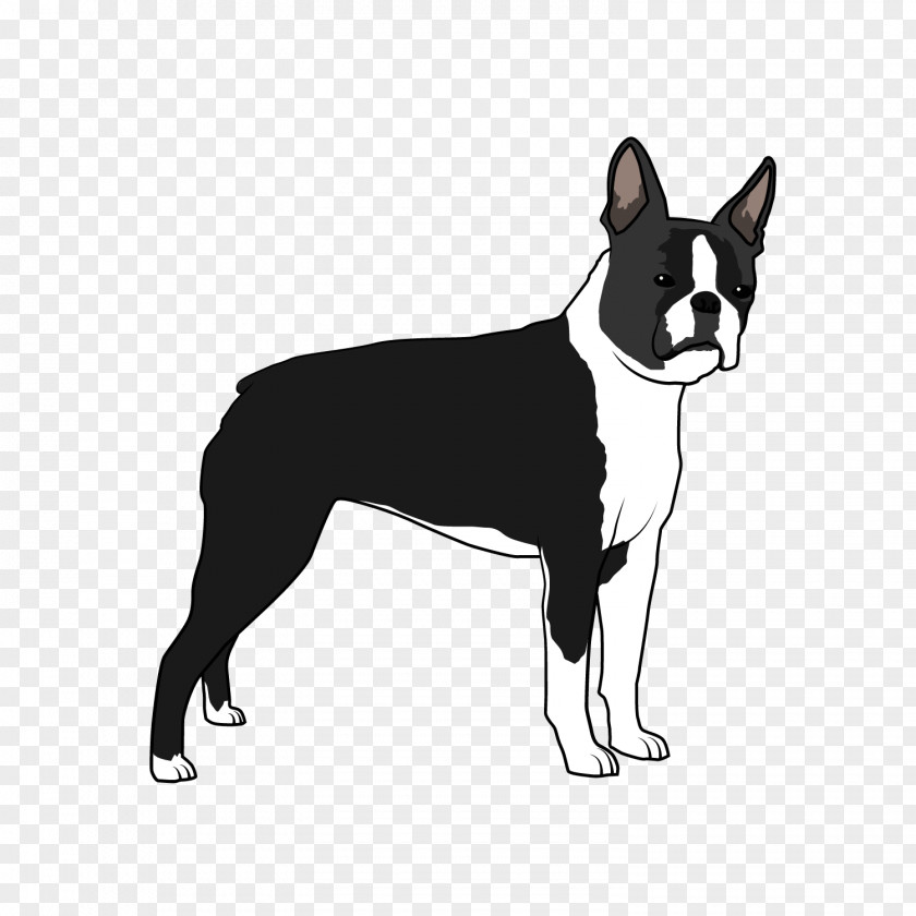 Boston Terrier Dog Breed Non-sporting Group Whiskers (dog) PNG
