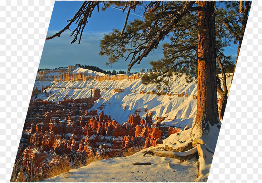 Park Bryce Canyon National State Hoodoo PNG