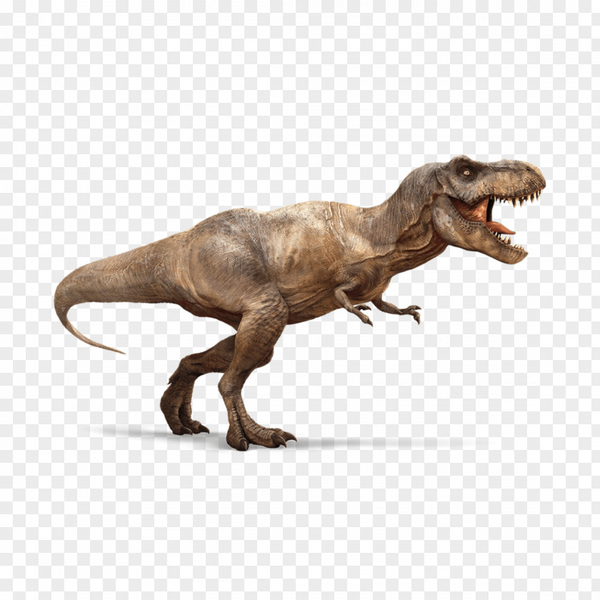 Dinosaur Tyrannosaurus Ankylosaurus Triceratops Ian Malcolm PNG