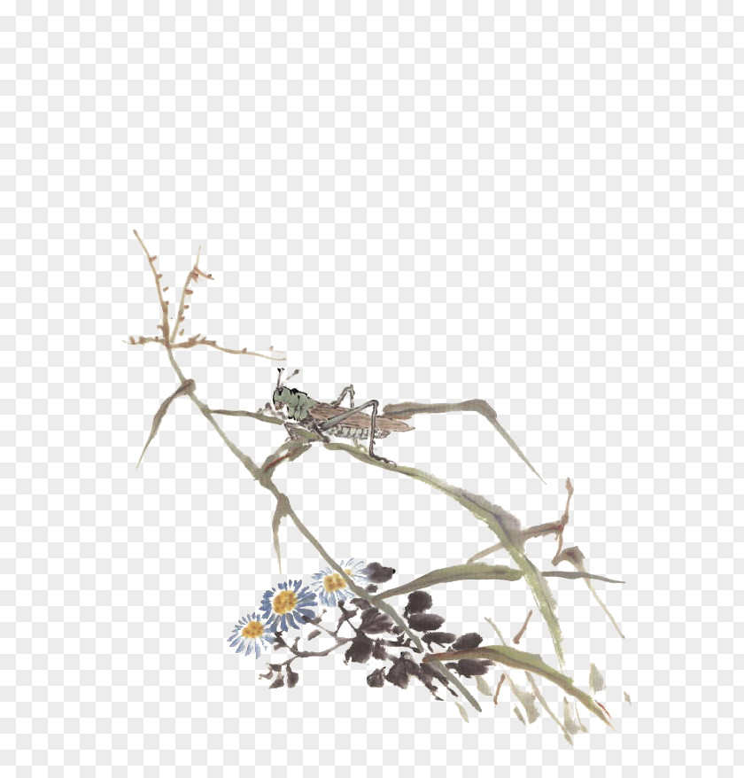 Grasshopper On Grass Qing Dynasty Bird-and-flower Painting PNG