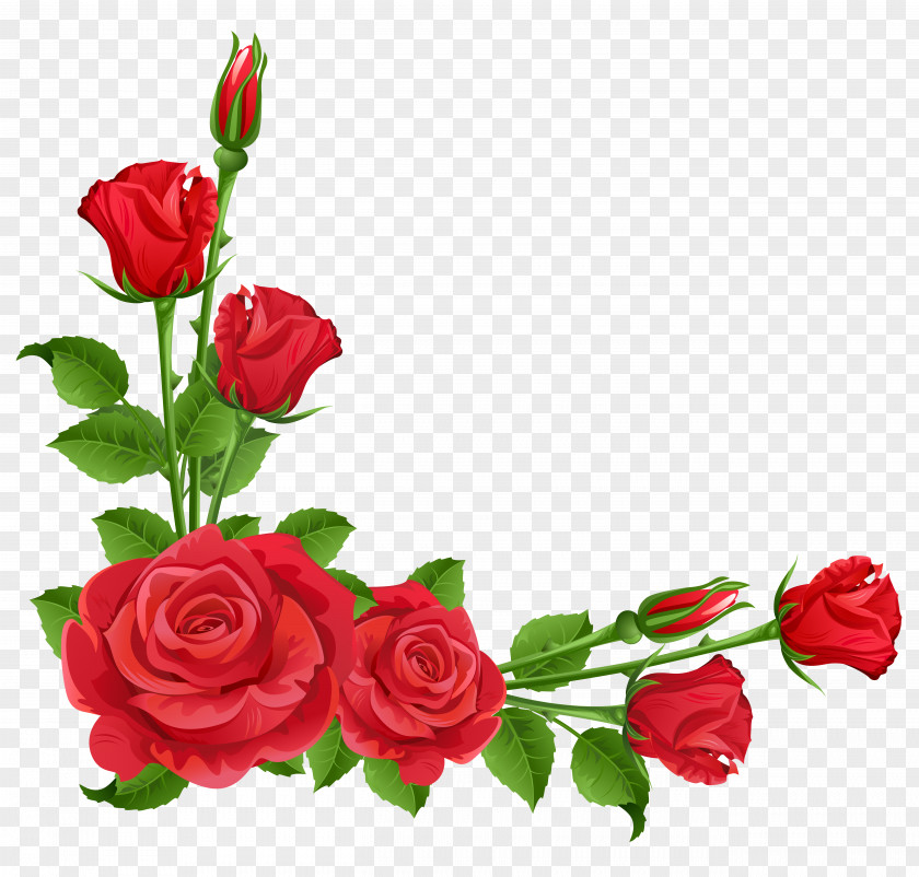 Red Roses Transparent Clipart Flower Garden Perennial Plant Pixabay PNG