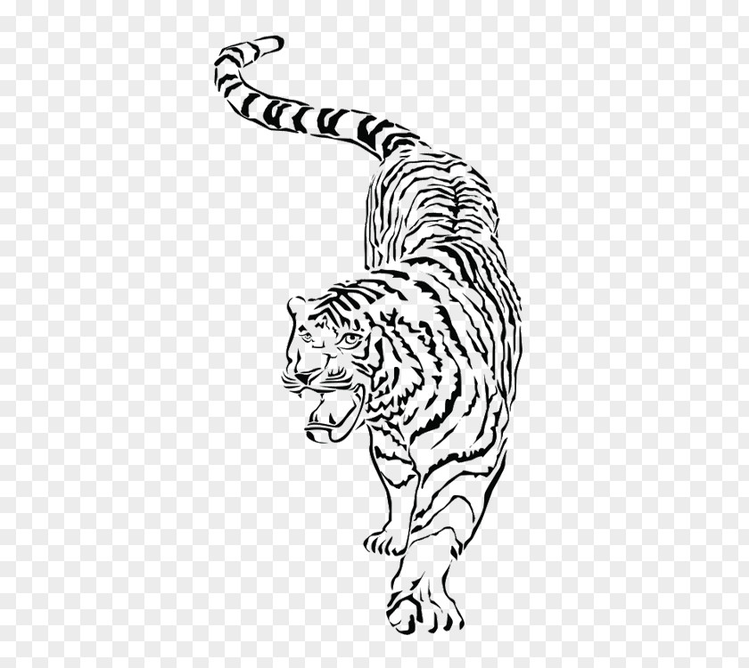 Tiger Whiskers South China Drawing PNG