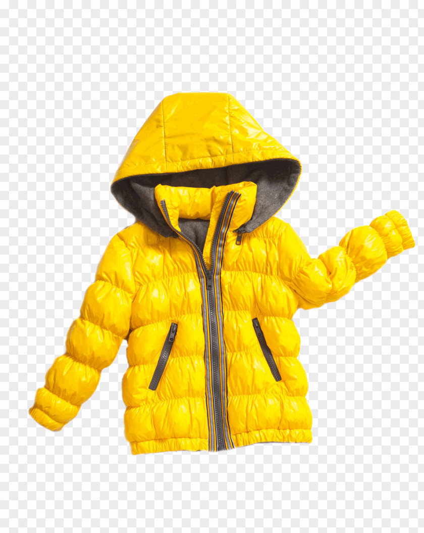 Winter Coat Hoodie PNG