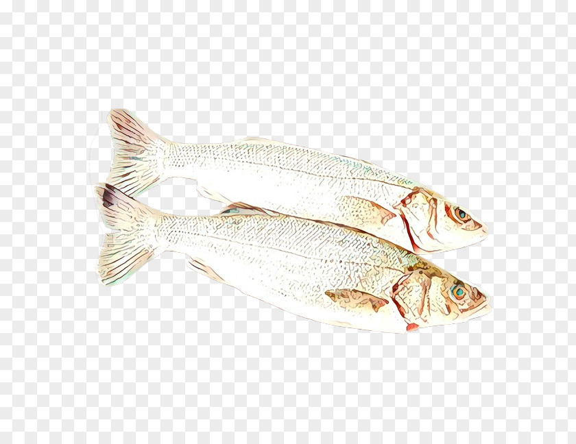 Fish Products Oily Bony-fish PNG