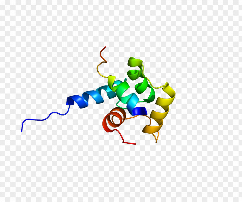 J XPC Protein Nucleotide Excision Repair Xeroderma Pigmentosum XPB PNG