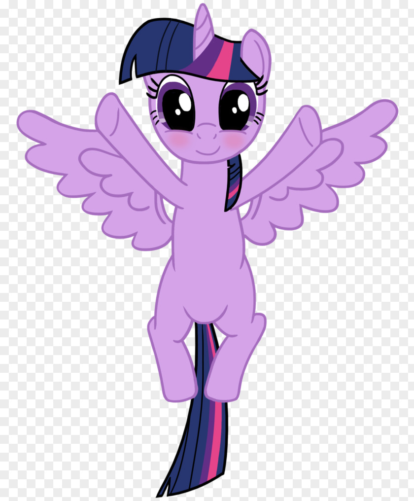 Princess Hug Pony Twilight Sparkle Rarity Pinkie Pie Cadance PNG