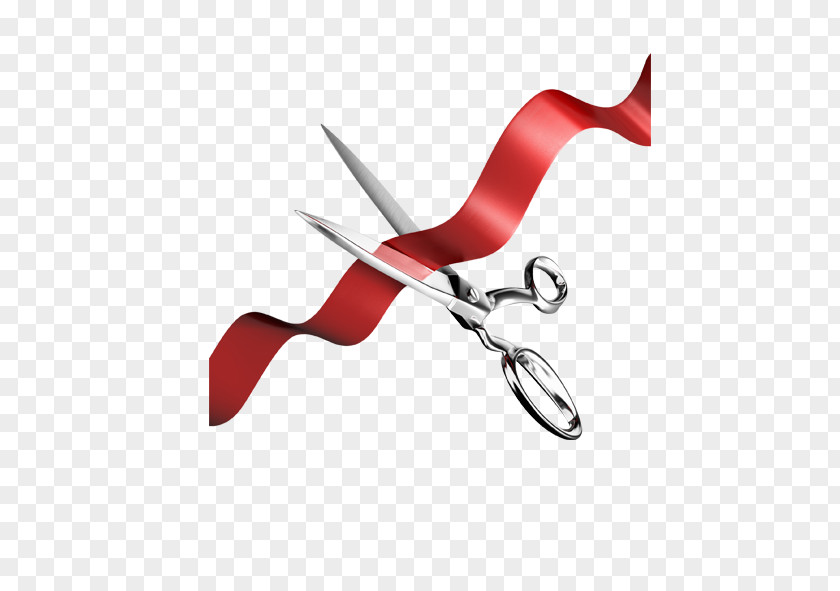 Red Ribbon Information Service Software Development PNG