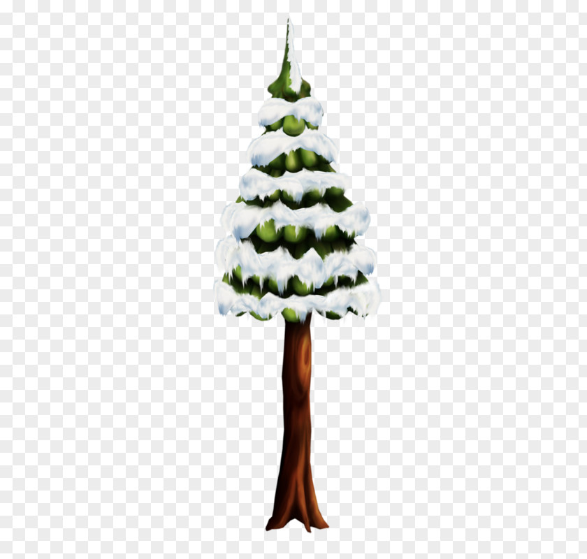 Snow Pine Cedar Fir Christmas Tree PNG