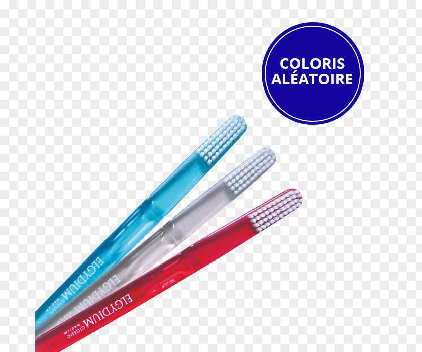 Thermomètre Digital, 1 Unité Education Elmex ChildUne Dent Toothbrush DECTRA Exacto PNG