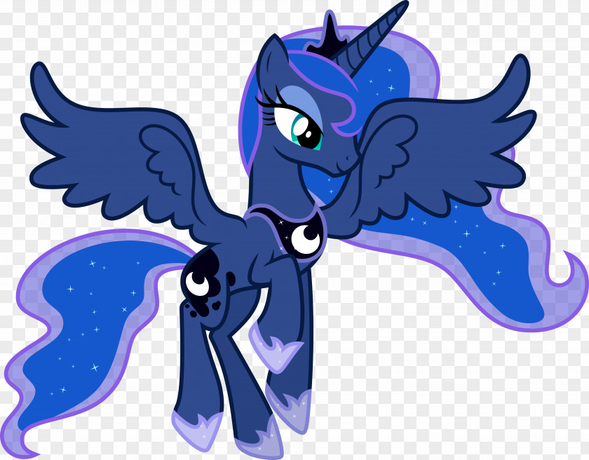Apologies Flyer Princess Luna Twilight Sparkle Pony Celestia Rainbow Dash PNG