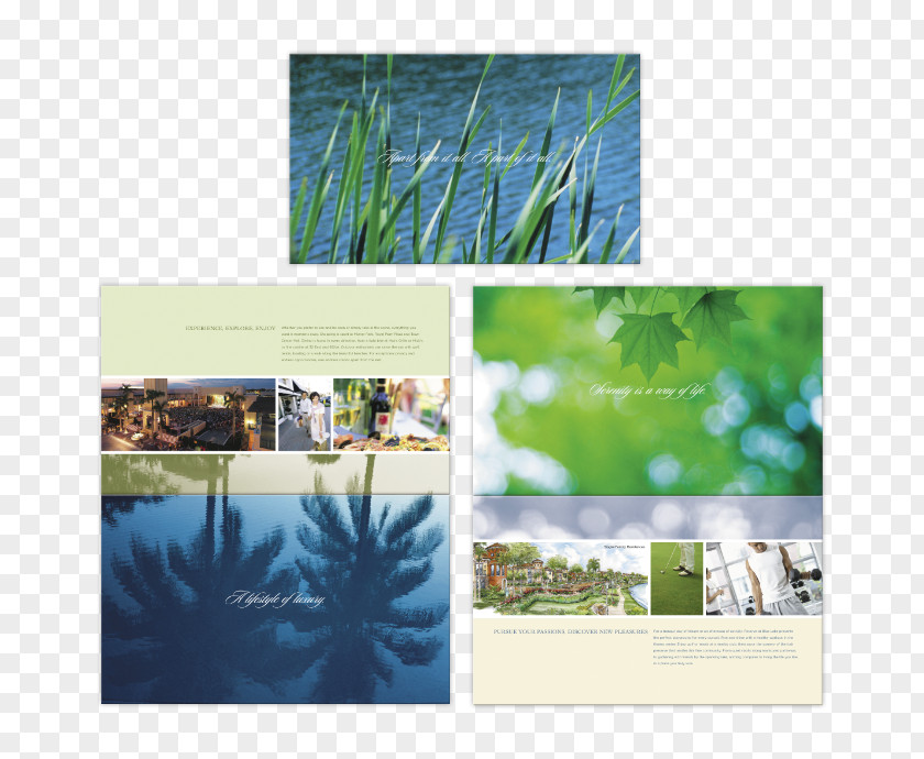 Creative Real Estate Poster Picture Material Nature Desktop Wallpaper Collage Frames Ecosystem PNG