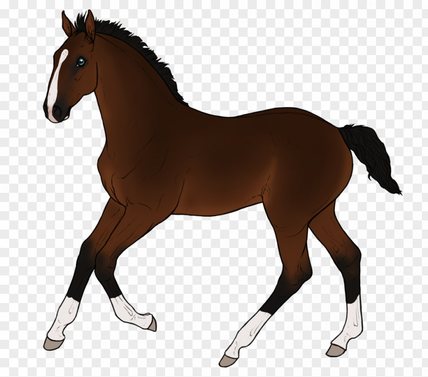 Deal With God Mustang Hanoverian Horse Foal Stallion Mare PNG