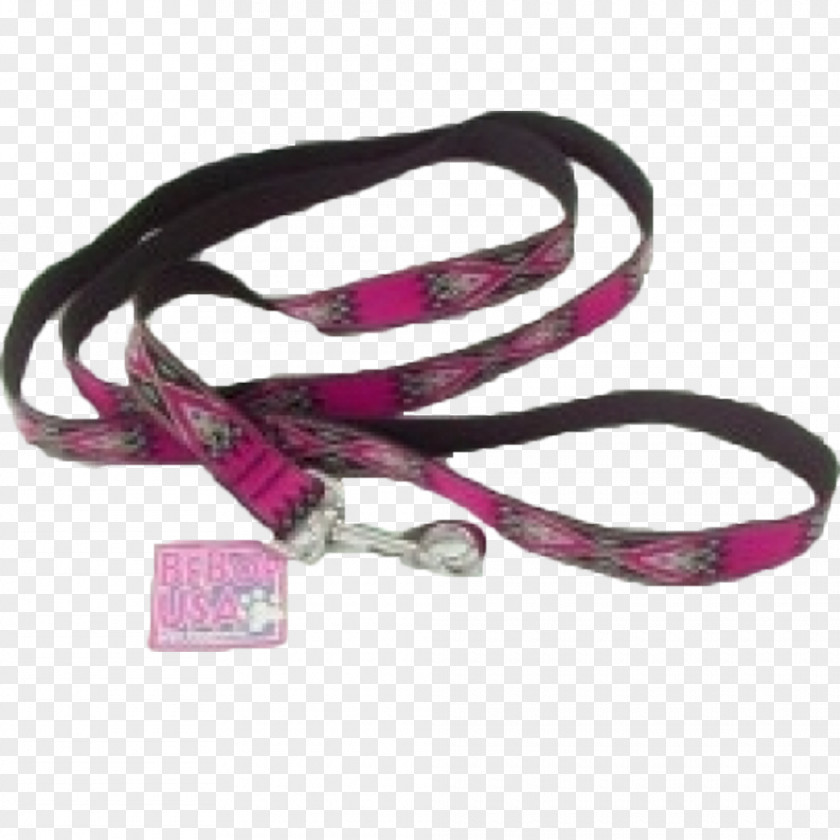 Dog Leash Collar Strap PNG