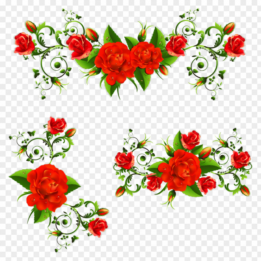 Flowers,flowers International Women's Day Greeting & Note Cards Woman Happiness March 8 PNG