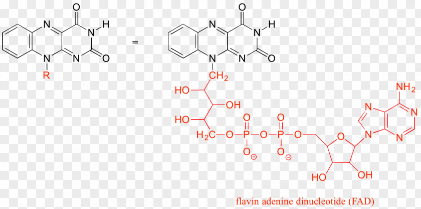 Lewis Dot Symbol Coordination Complex Aditanar College Of Arts And Science Chemistry Chelation PNG