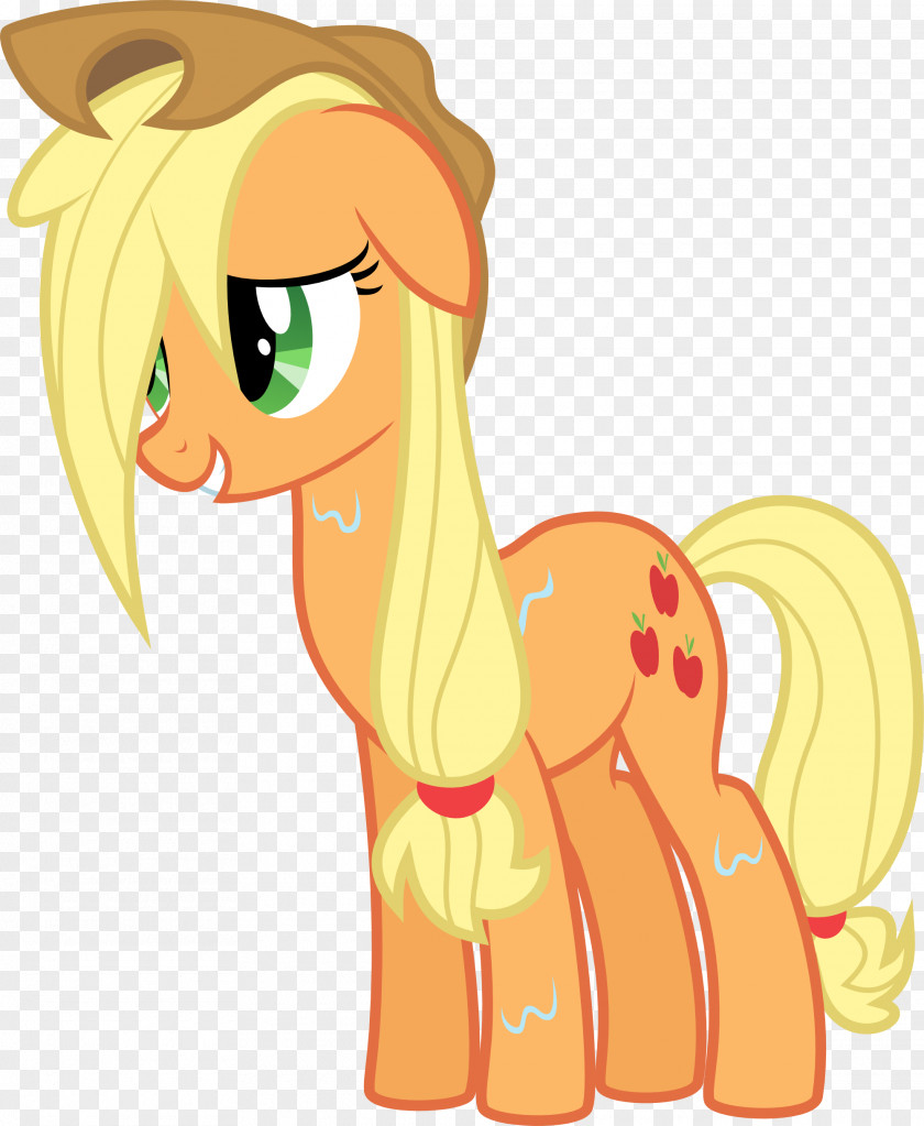 My Little Pony Applejack Pinkie Pie Twilight Sparkle Rainbow Dash PNG